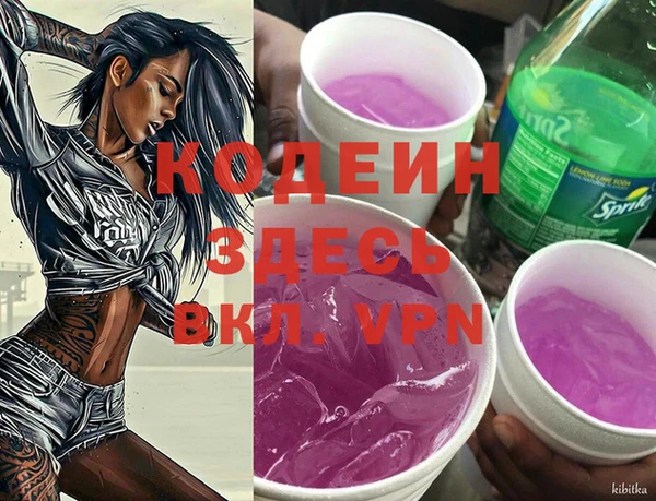 прущий лед Богданович