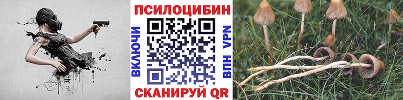 Псилоцибиновые грибы Psilocybe  Бузулук 
