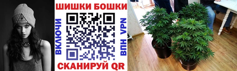 Бошки Шишки OG Kush  как найти наркотики  omg онион  Бузулук 